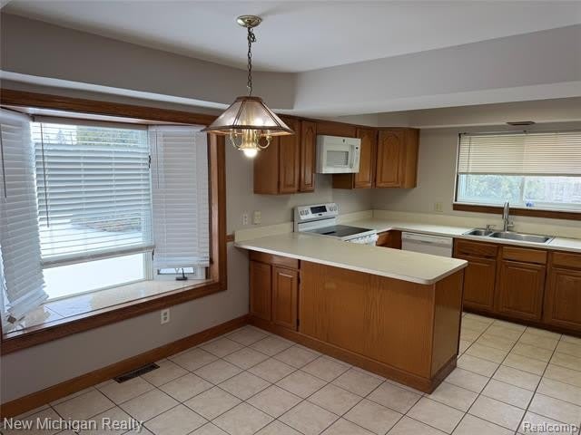 34647 Esper Drive – photo 5