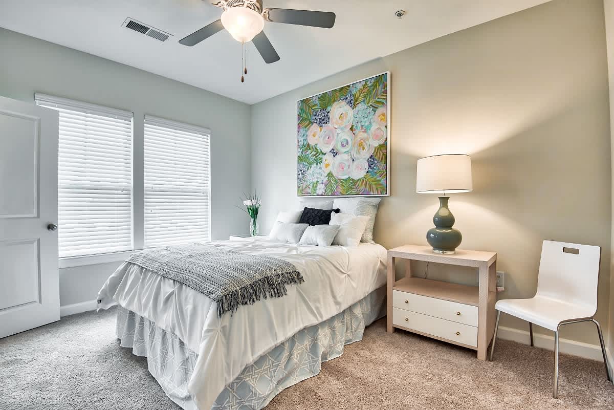 Pines at Glen Laurel Luxury Apartments – photo 5