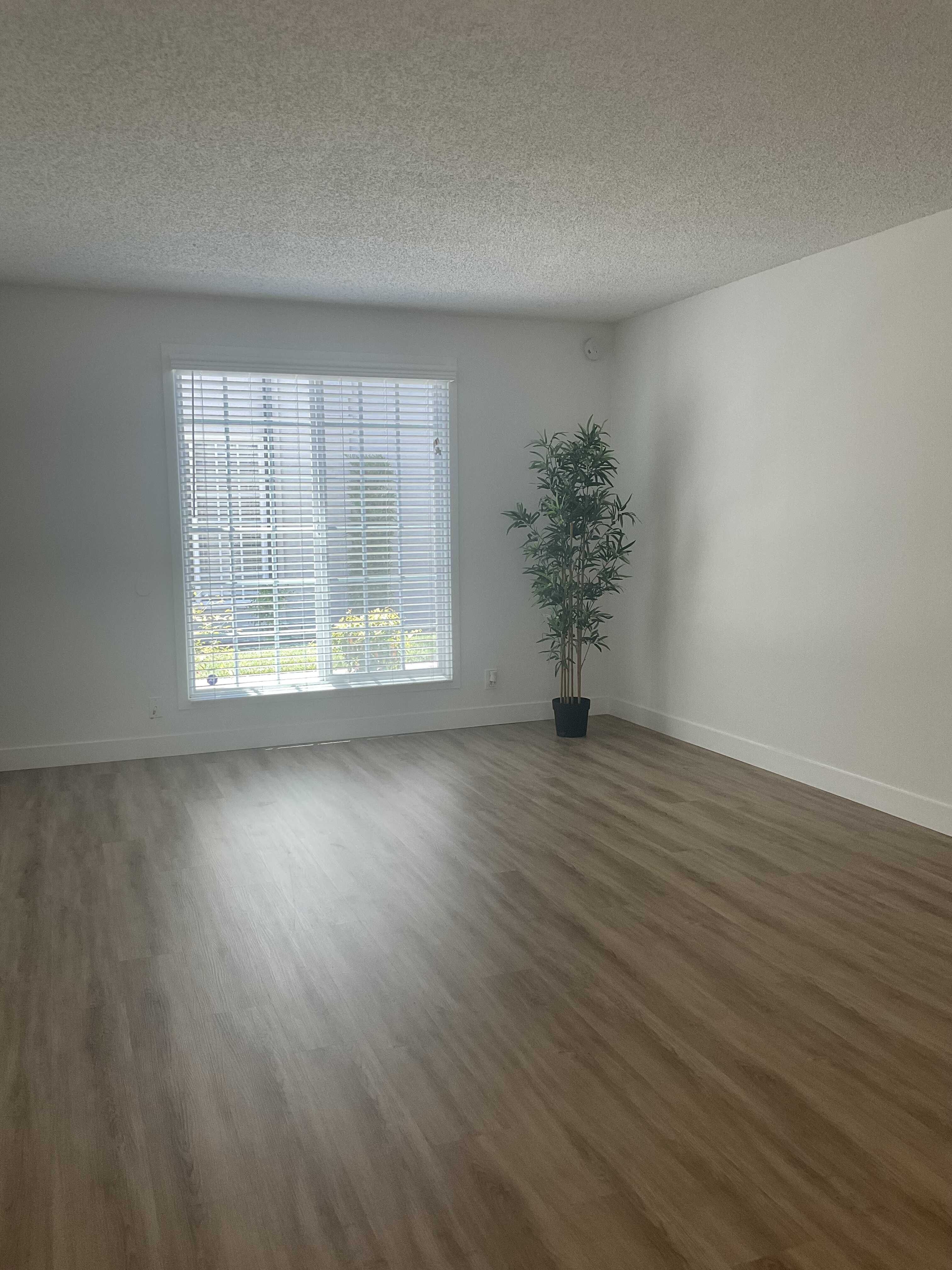 Quiet Cove Apartments – photo 4