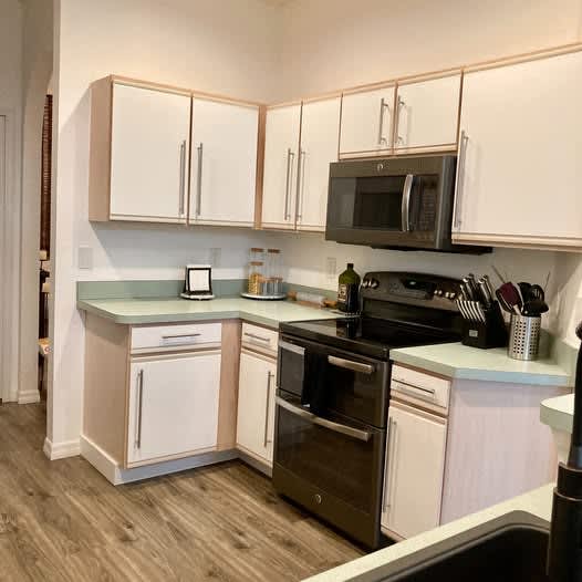 328 Wood Ibis Avenue – photo 4