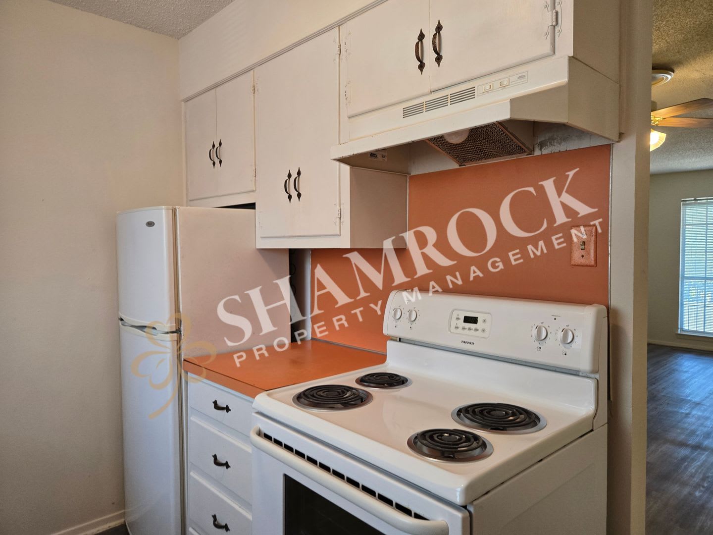 Lakeland Circle Commons – photo 5