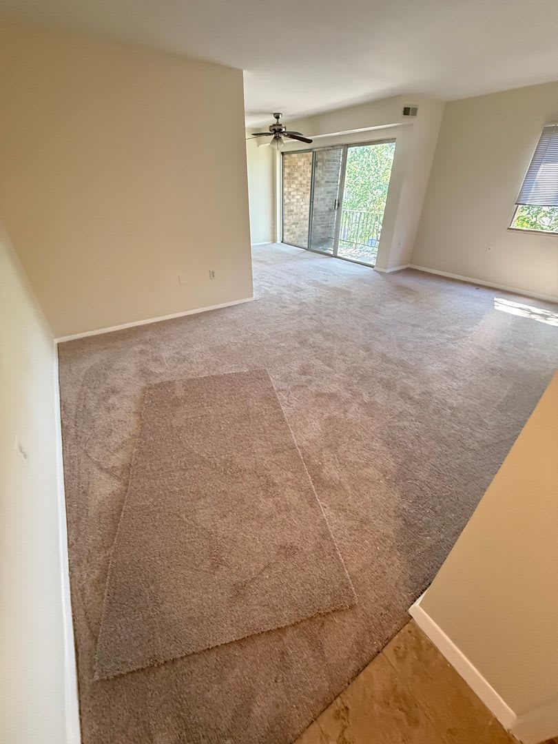 Amazing 2 Bedroom 1 Bathroom All Utilities Included – photo 3