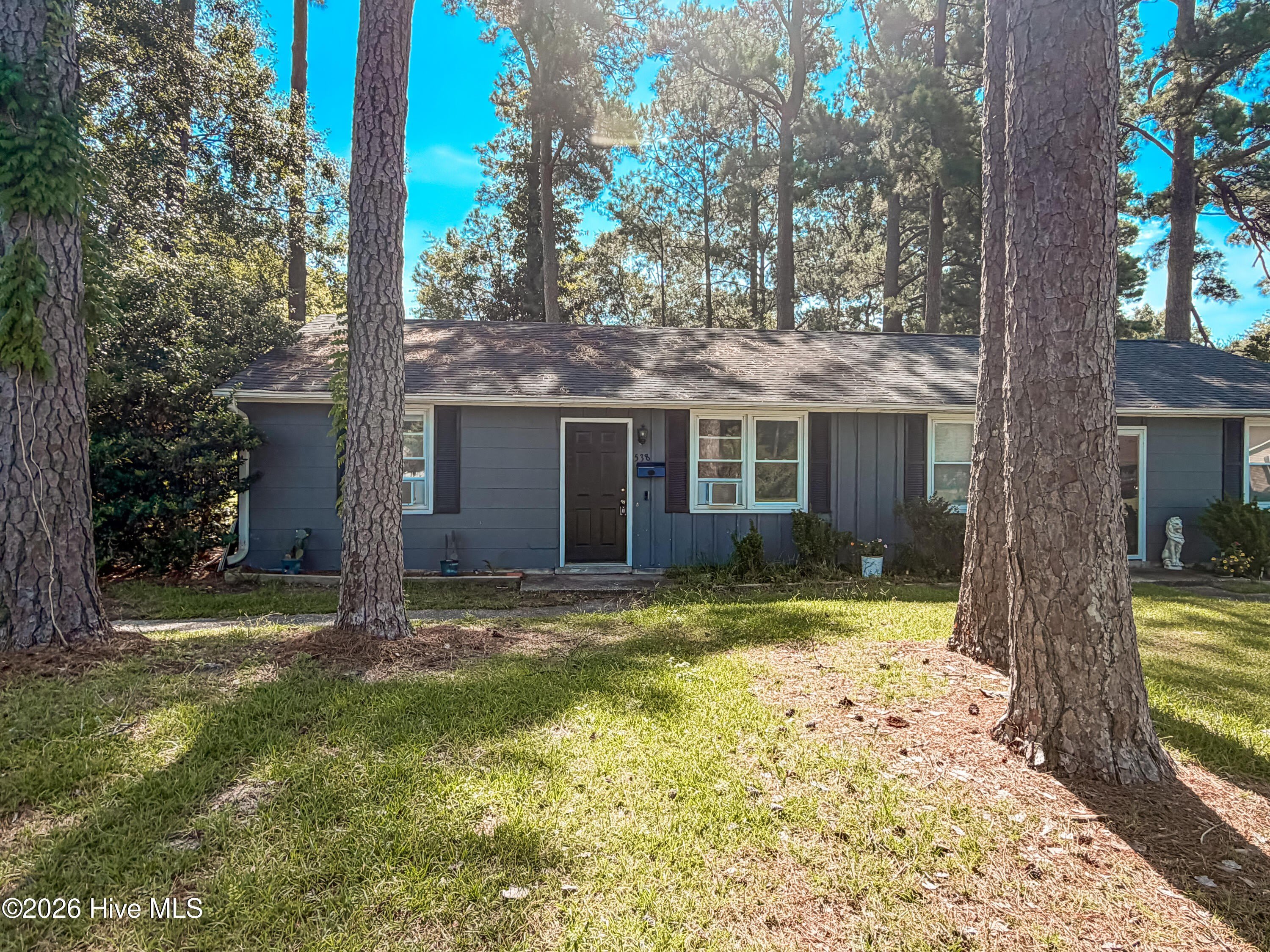 538 Williams Street – photo 3