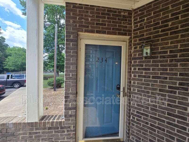 234 Davidson St. – photo 4