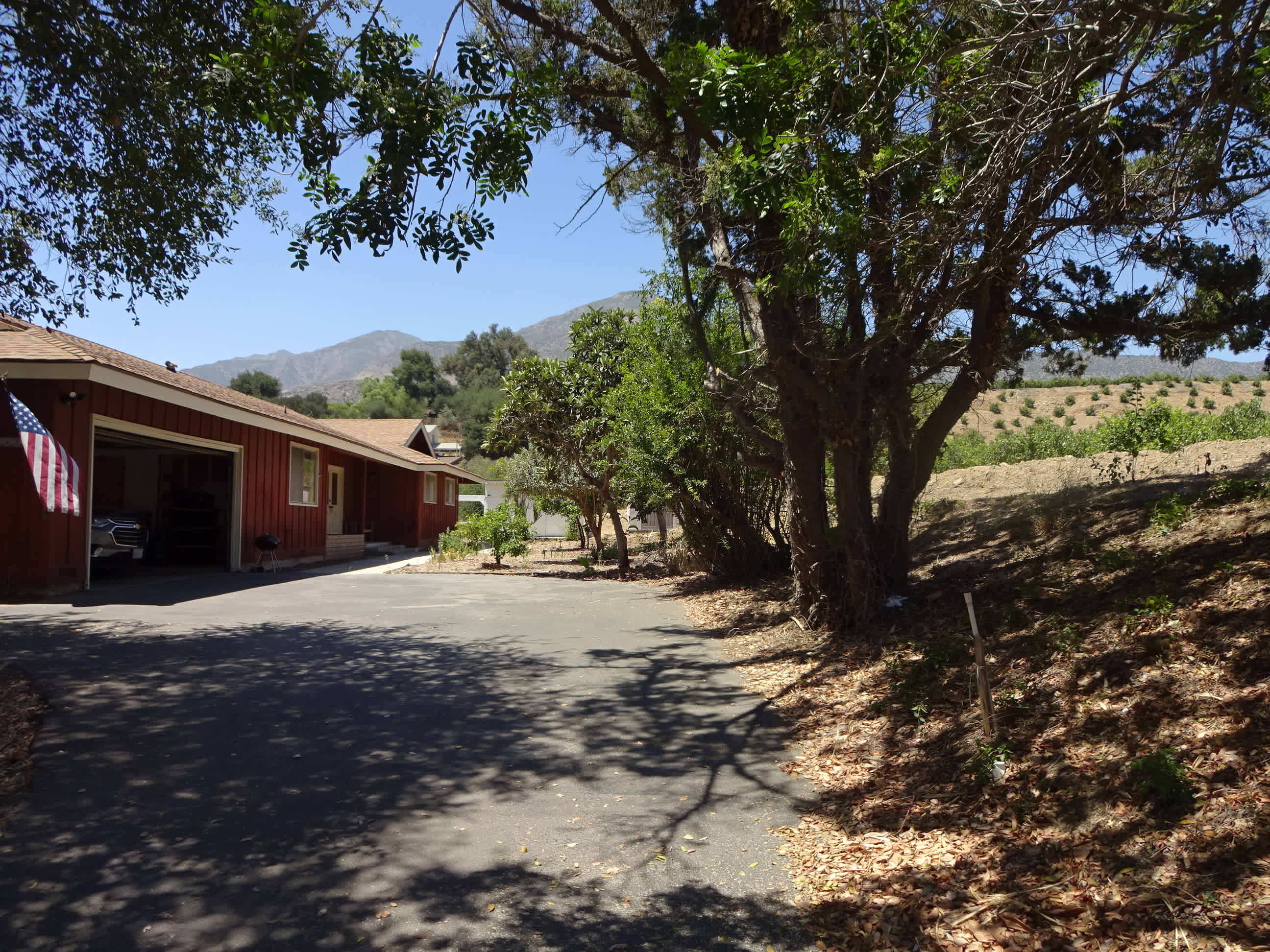 943 Oak Ave – photo 4