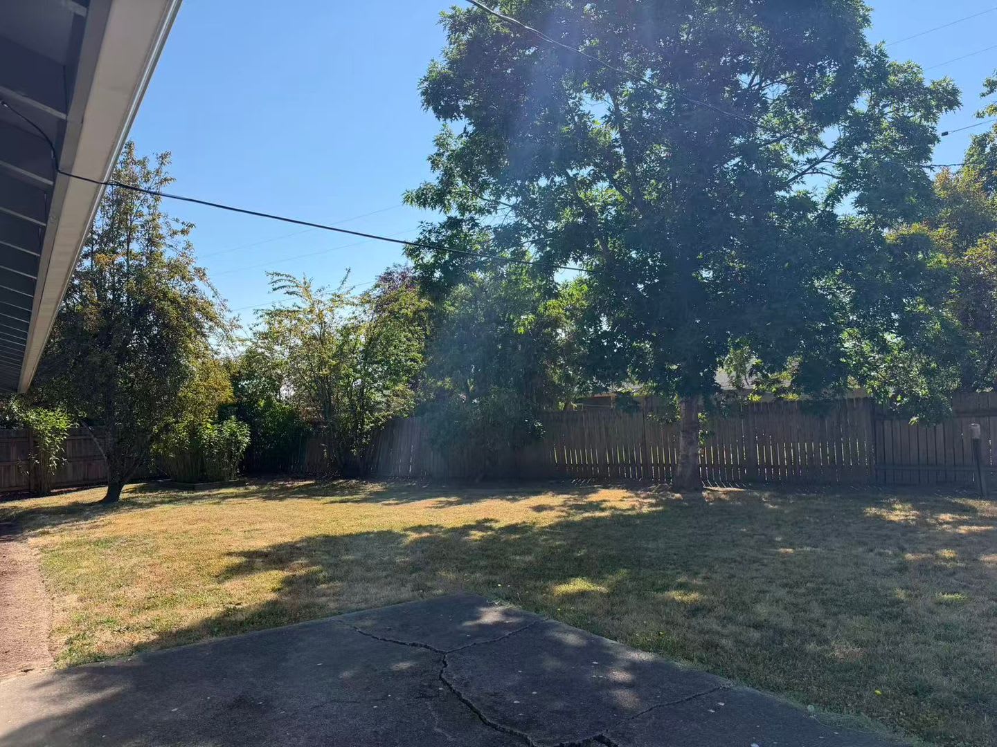 Remodeled Single-Level Home with Fenced Backyard – photo 2