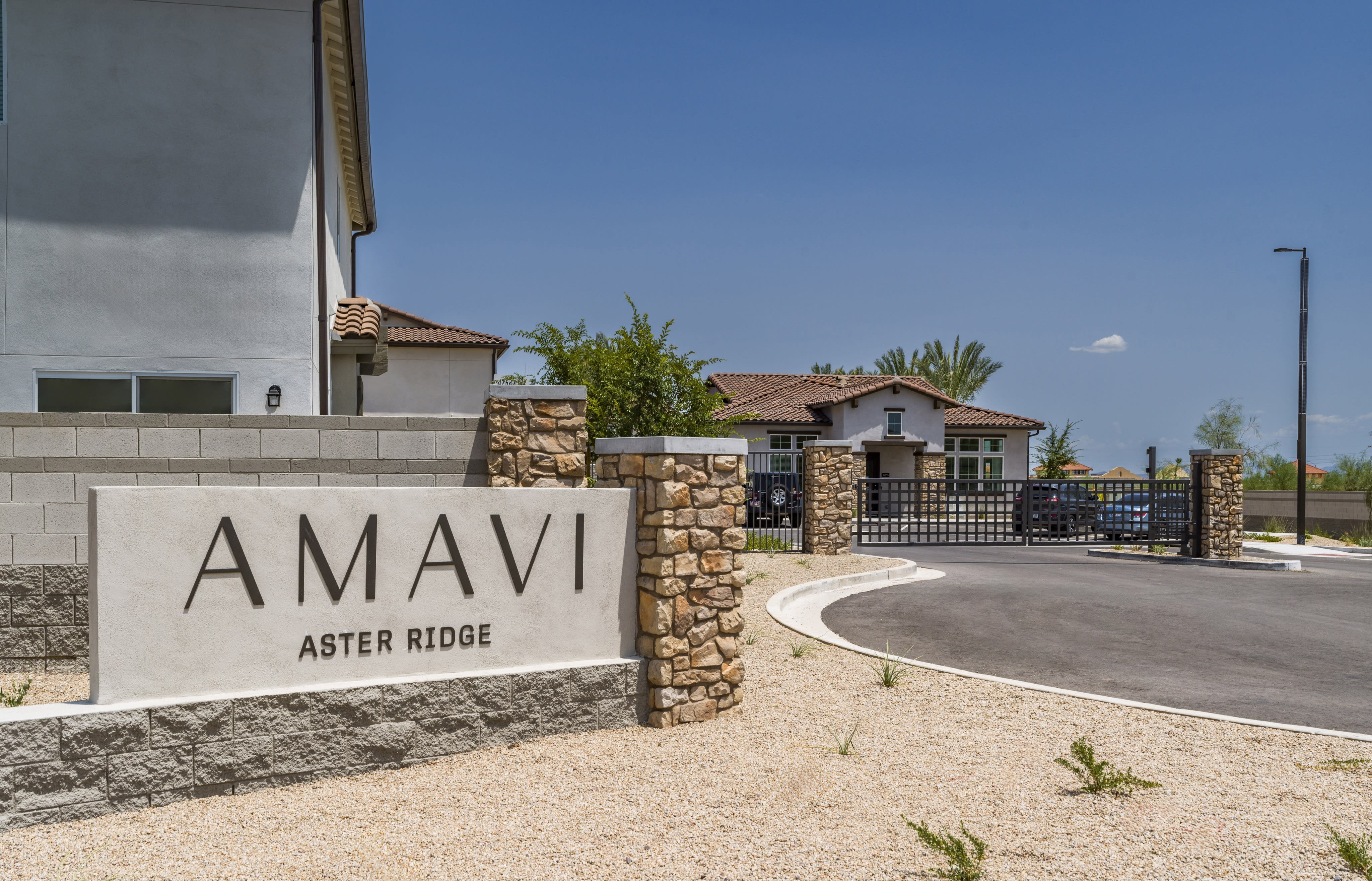 Amavi Aster Ridge – photo 5