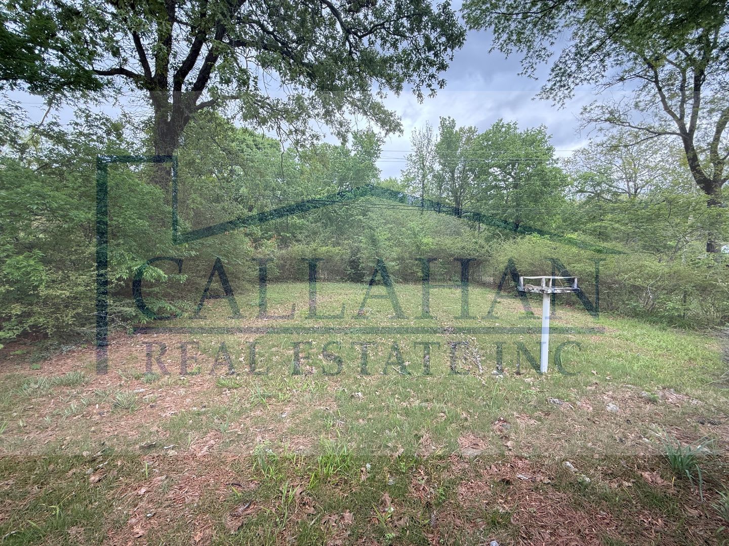 Updated Nlr Home – photo 2