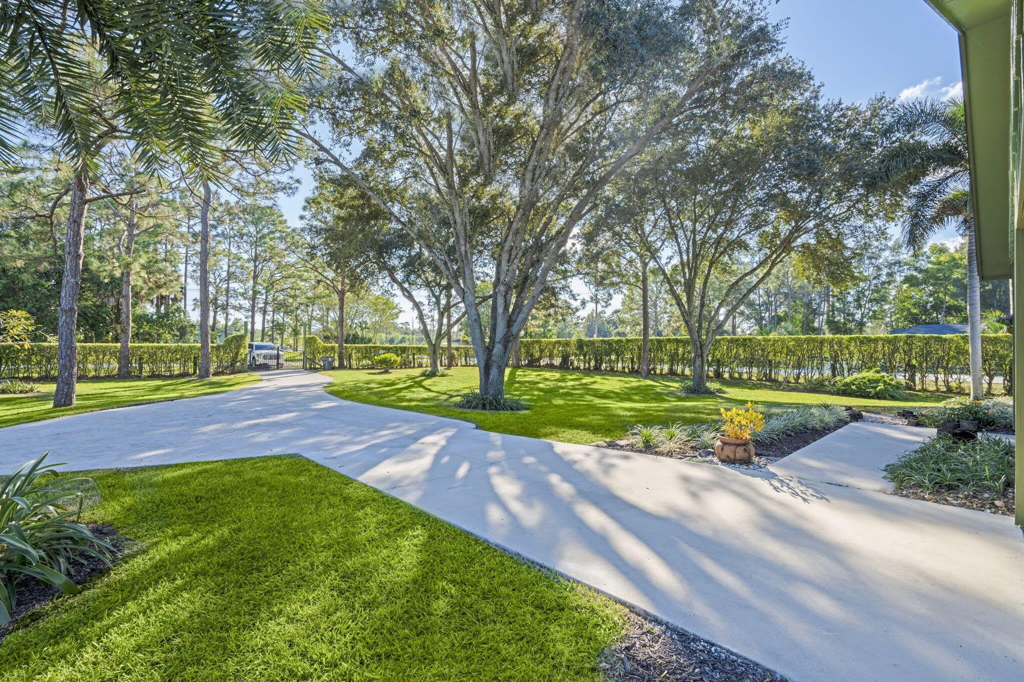 11989 PERSIMMON Boulevard – photo 2