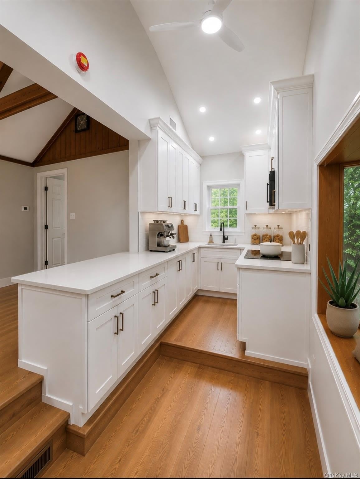 146 Cordial Rd – photo 5