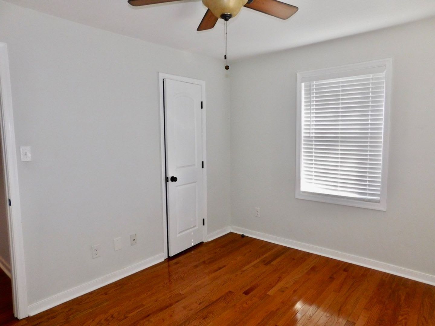 818 E Washington Street, Petersburg – photo 5