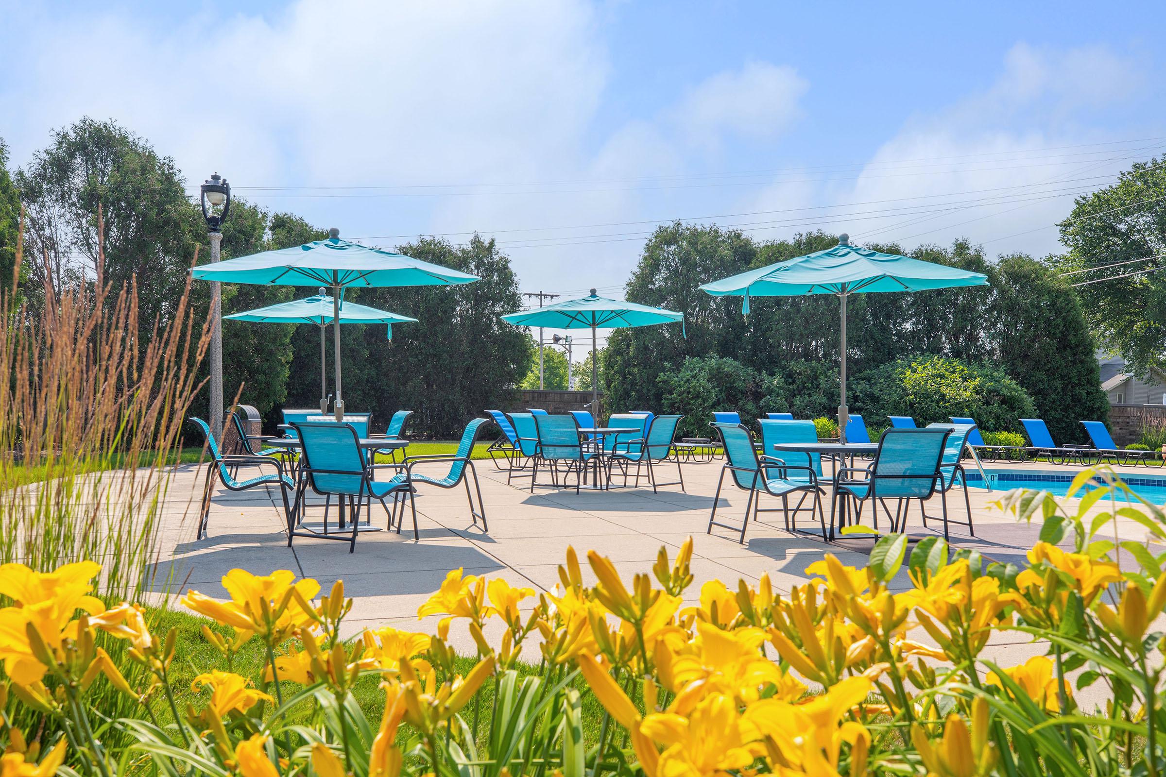 Layton Preserve Senior Housing – photo 4