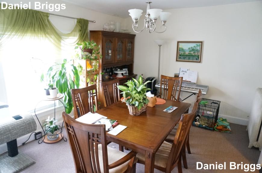 18 Orkney Rd. – photo 3