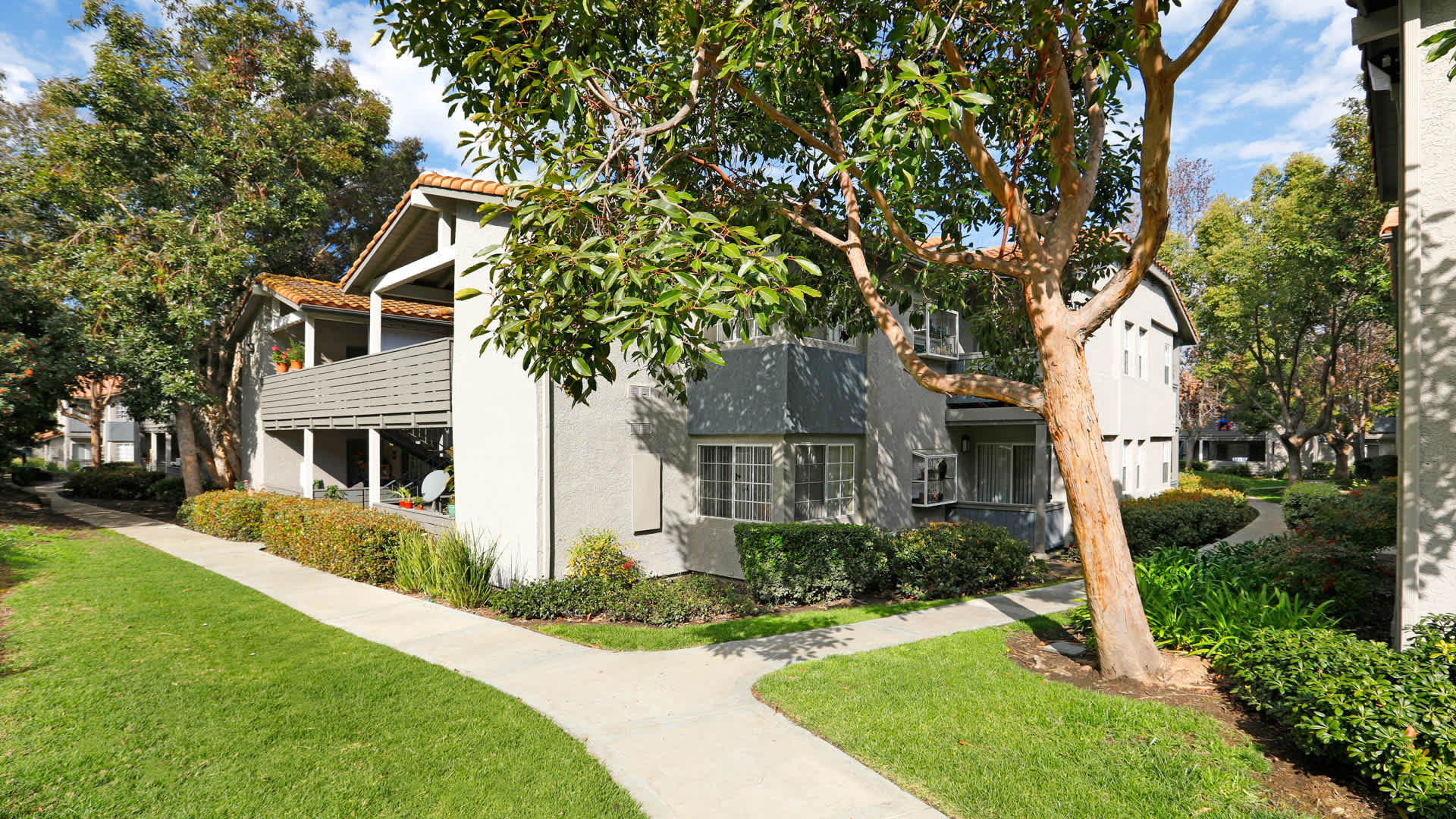 Windridge – photo 2