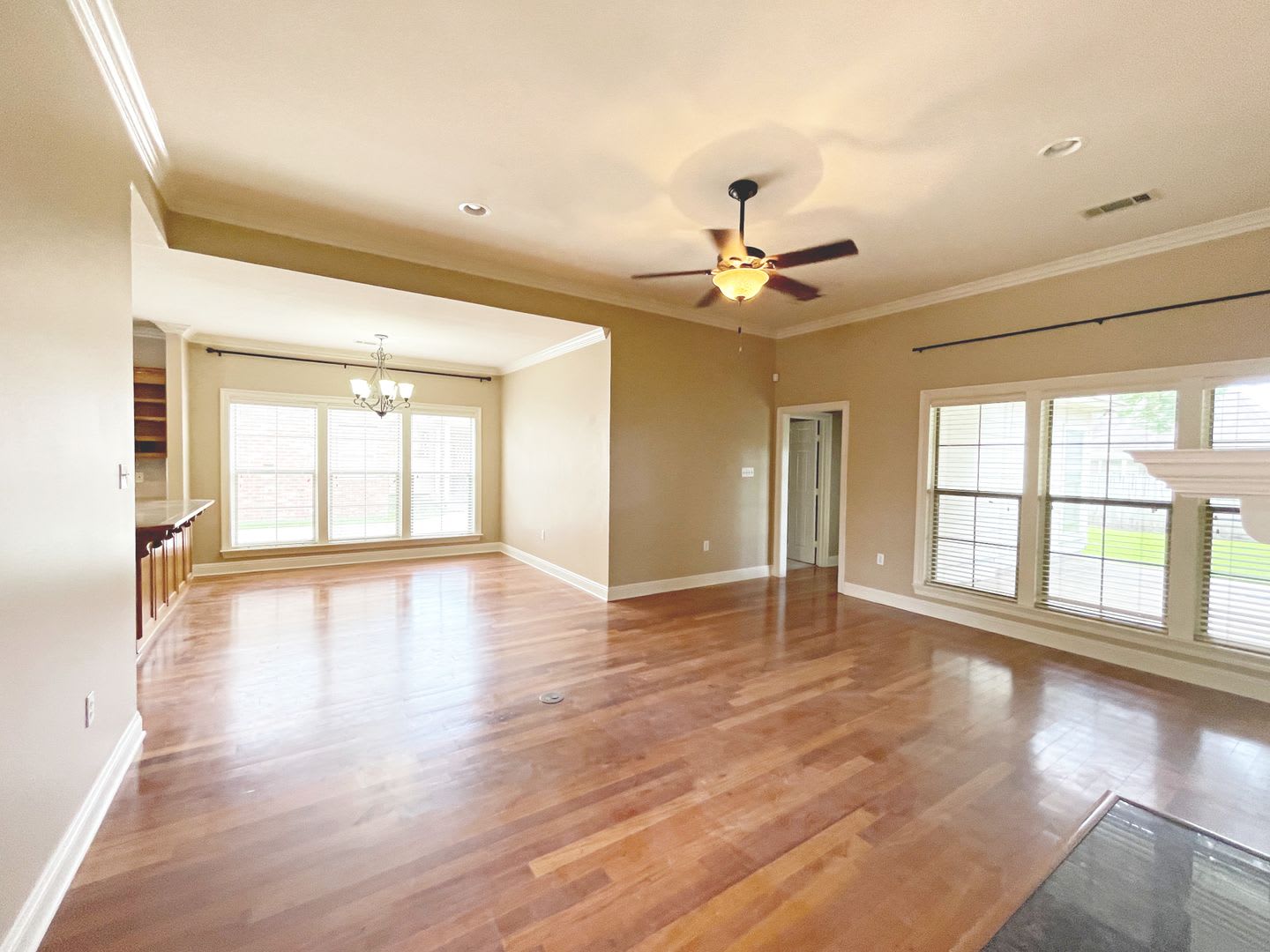 Beautiful 3 Bedroom Home in Springlake at Bluebonnet Highlands – photo 5