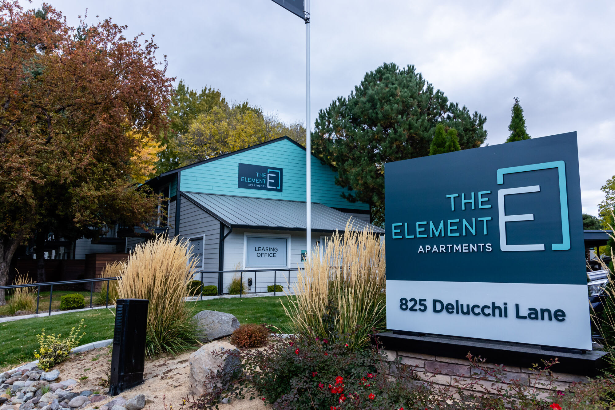 The Element – photo 2