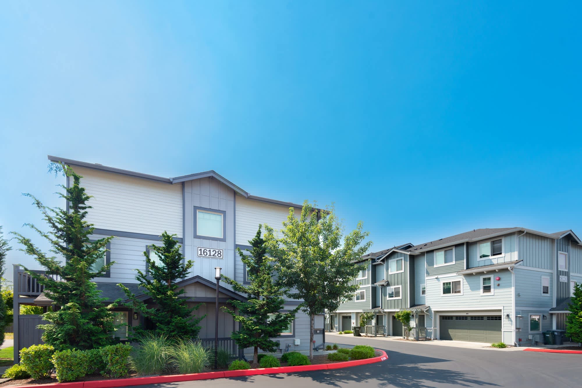Aster Townhomes – photo 3