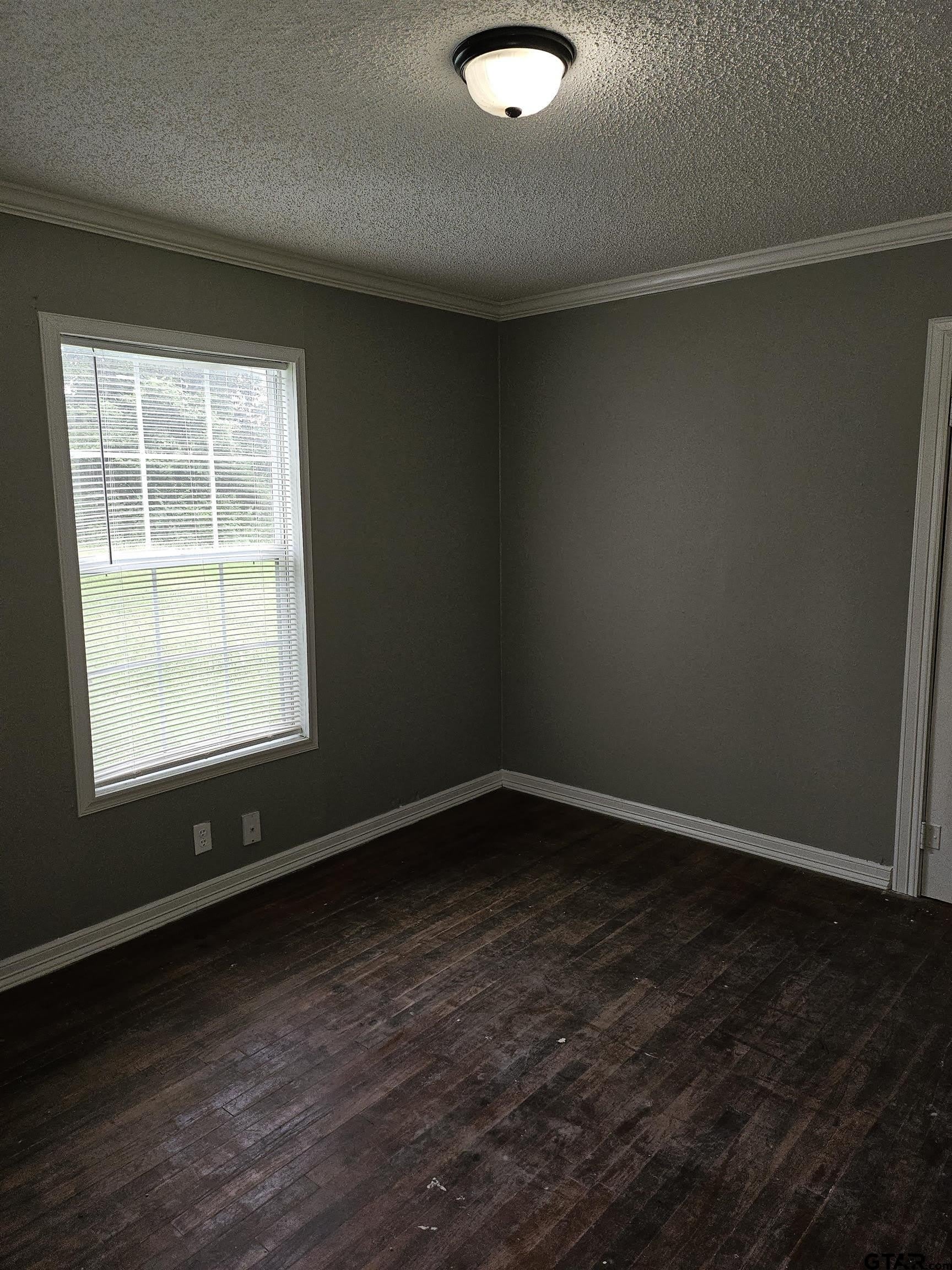 102 Cook st – photo 4