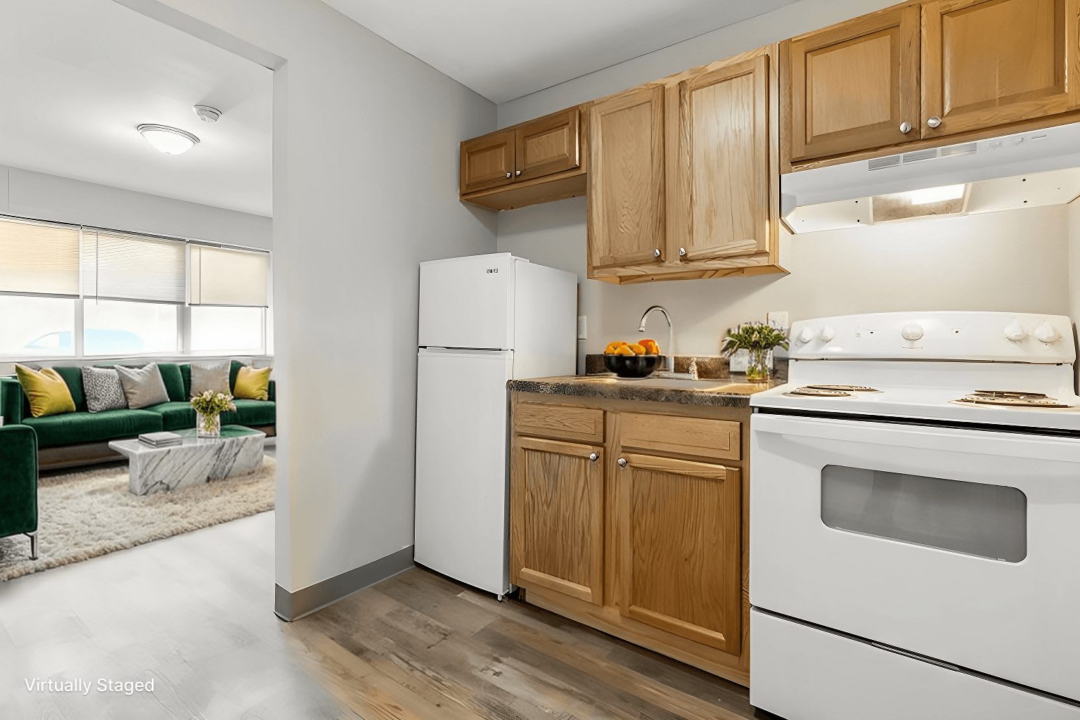 Saluki Apartments – photo 4