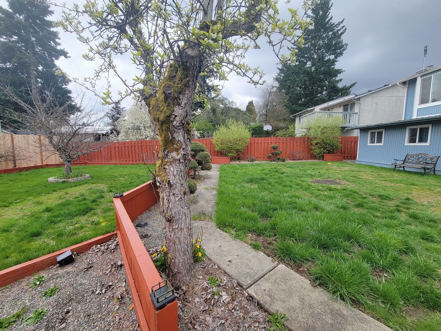 Spacious 4 Bedroom Home in S.Tacoma, Available Now! – photo 5