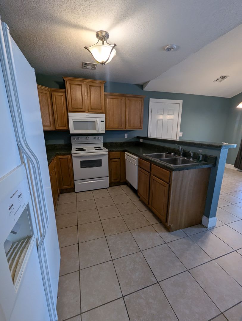 FOR RENT – Gorgeous 3 Bed, 2 Bath Home in Webb City! Pets Welcome! – photo 4