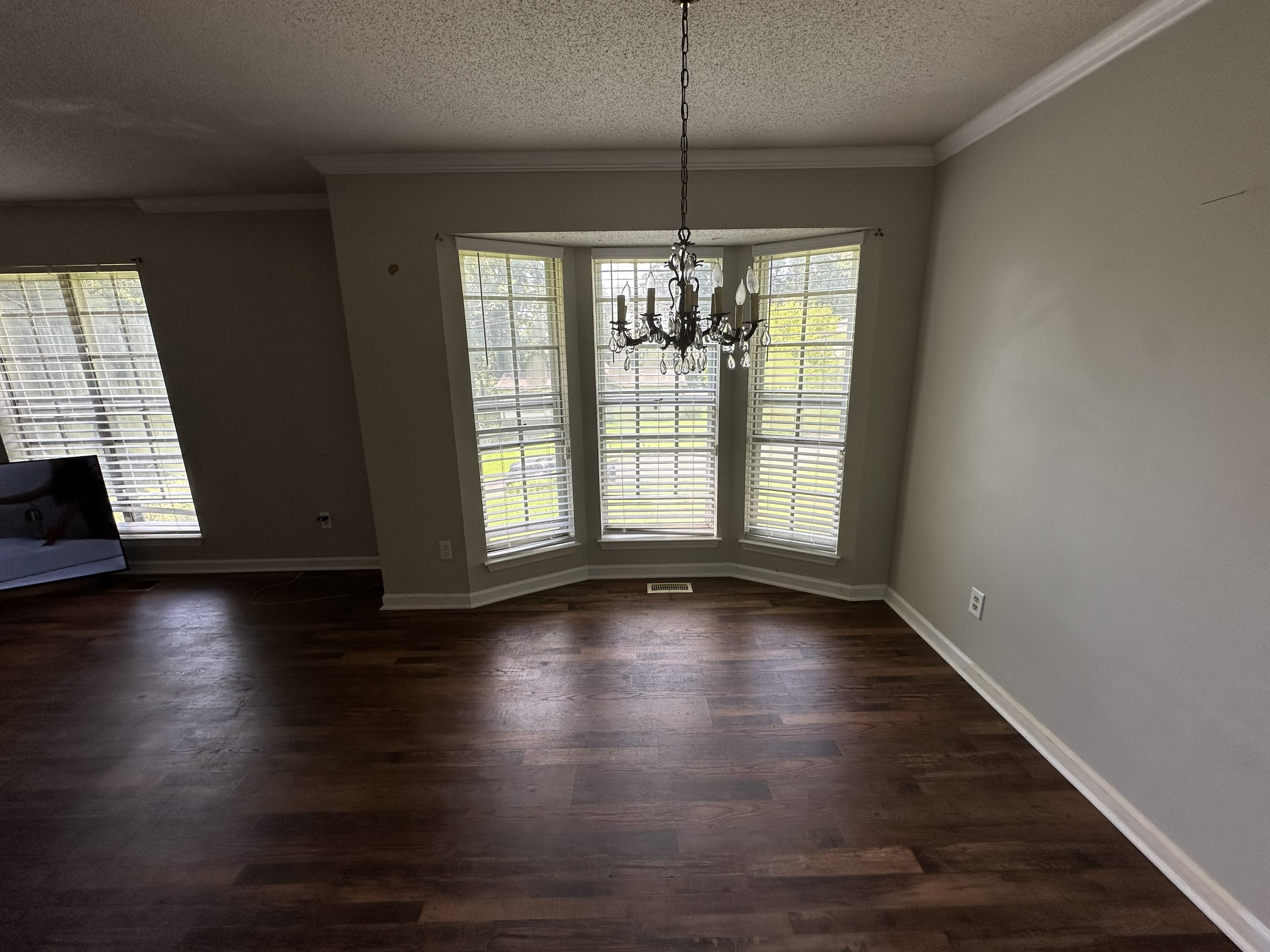 720 Cedar Cone Circle – photo 4