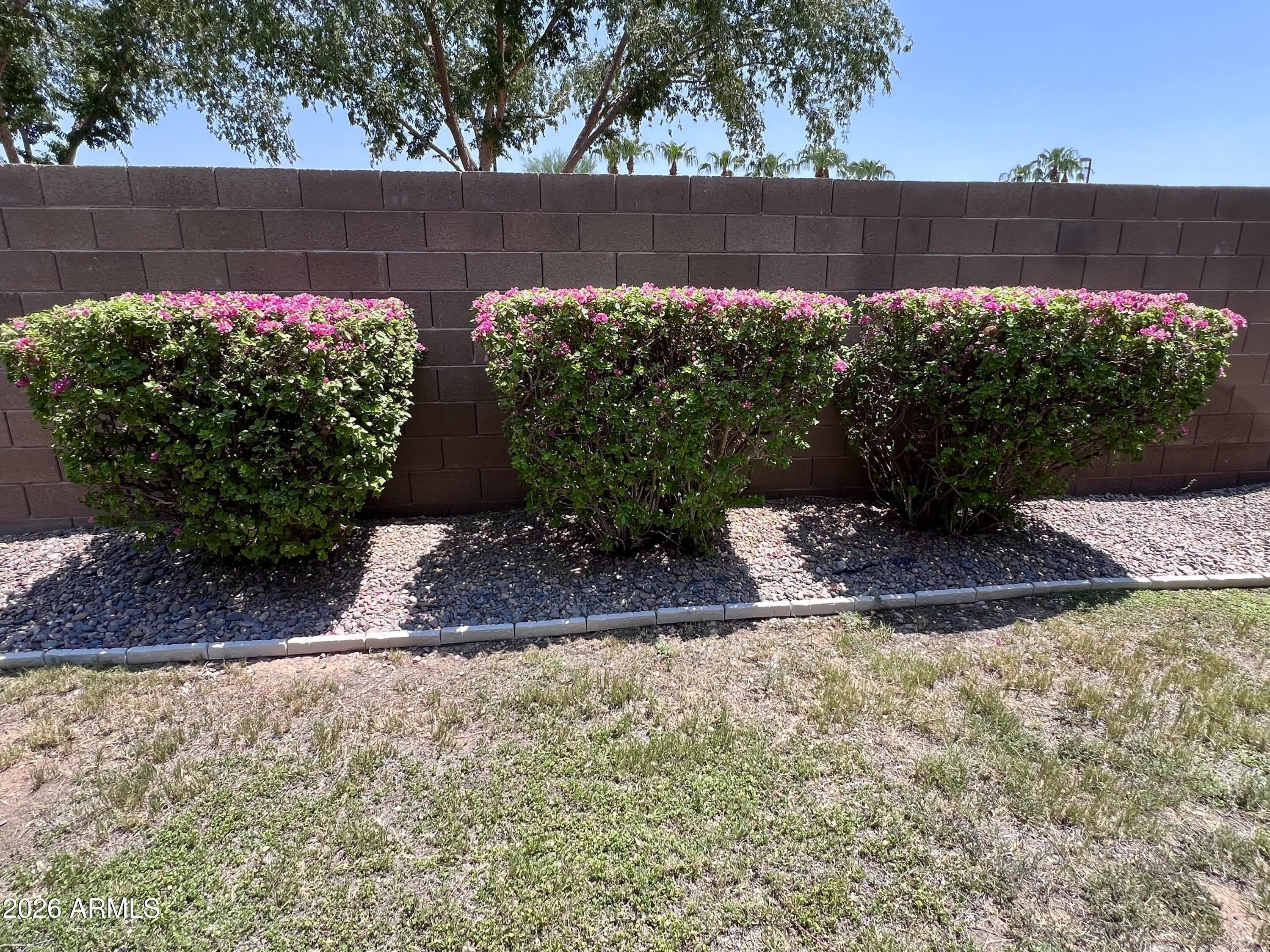 1427 S SPARTAN Street – photo 4