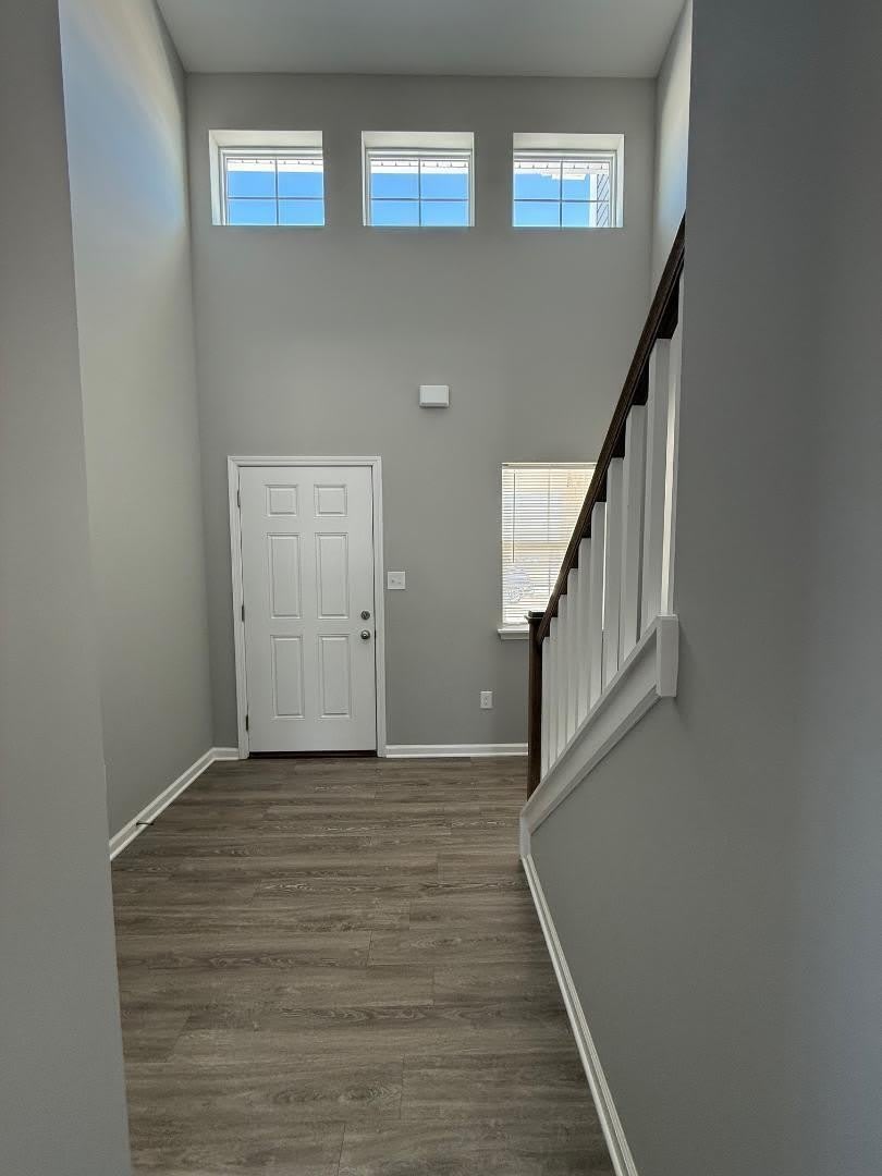 141 Candy Apple Lane – photo 4