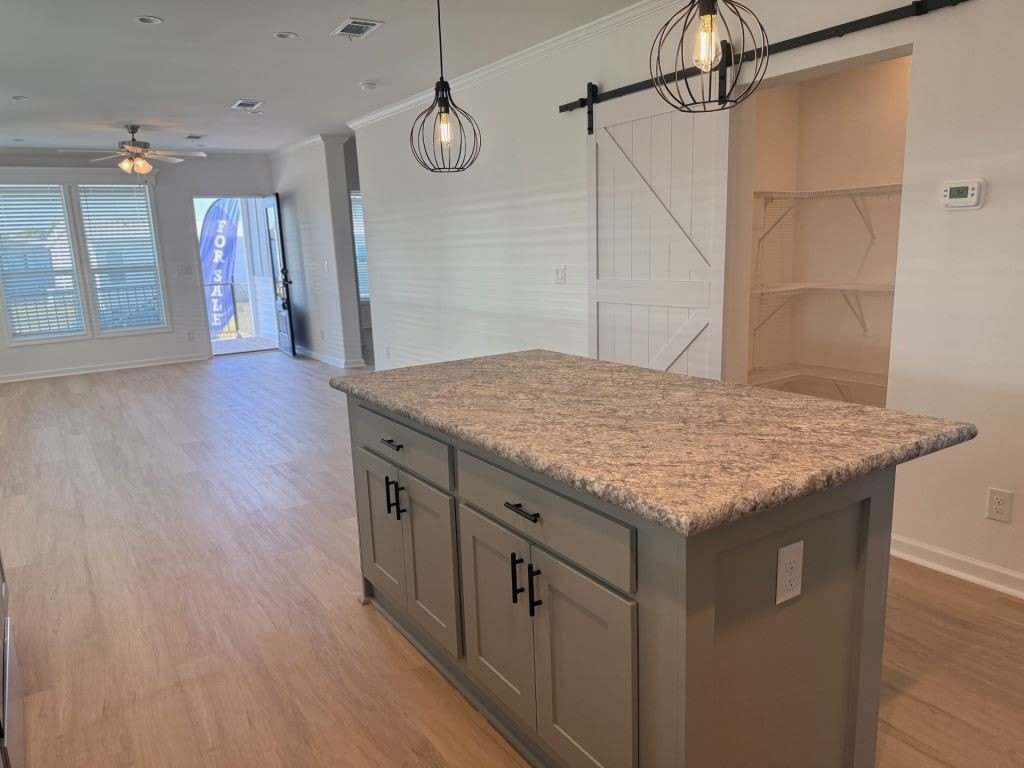 4208 Long Lake Way – photo 3