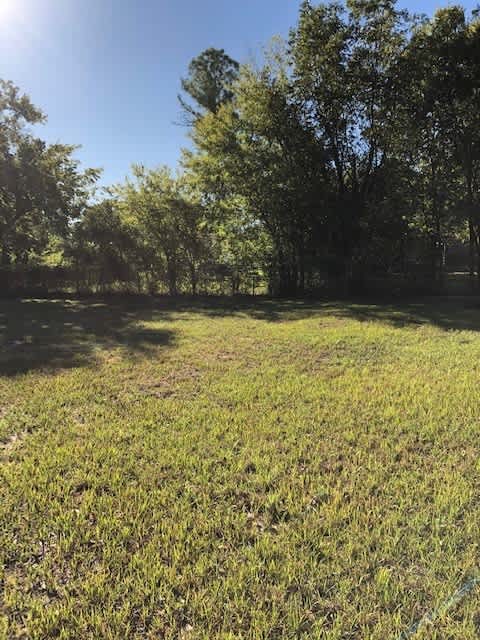 3303 Texas- House – photo 5