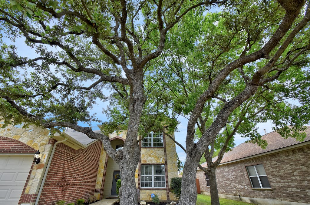 4830 James Gaines – photo 3