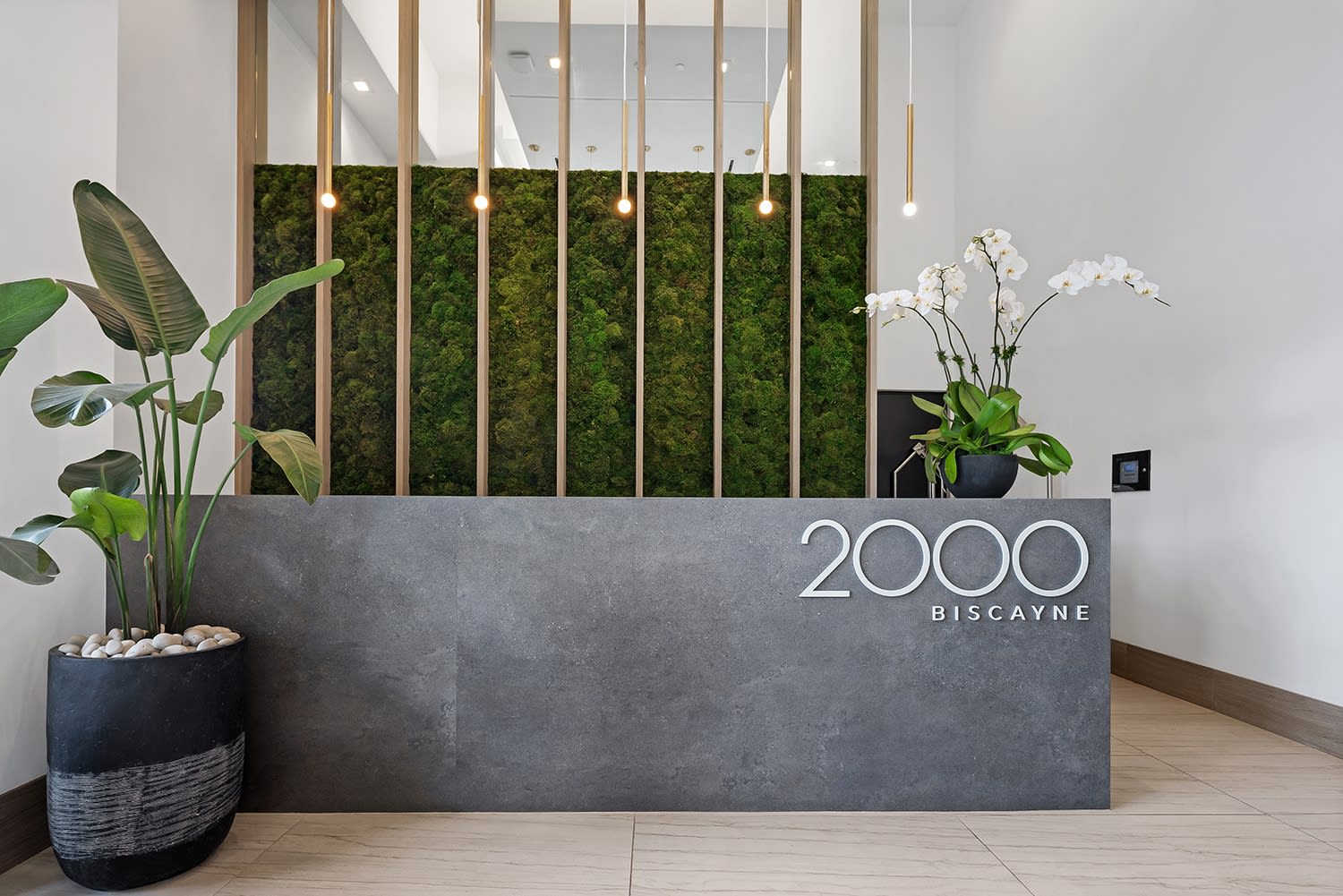 2000 Biscayne – photo 3