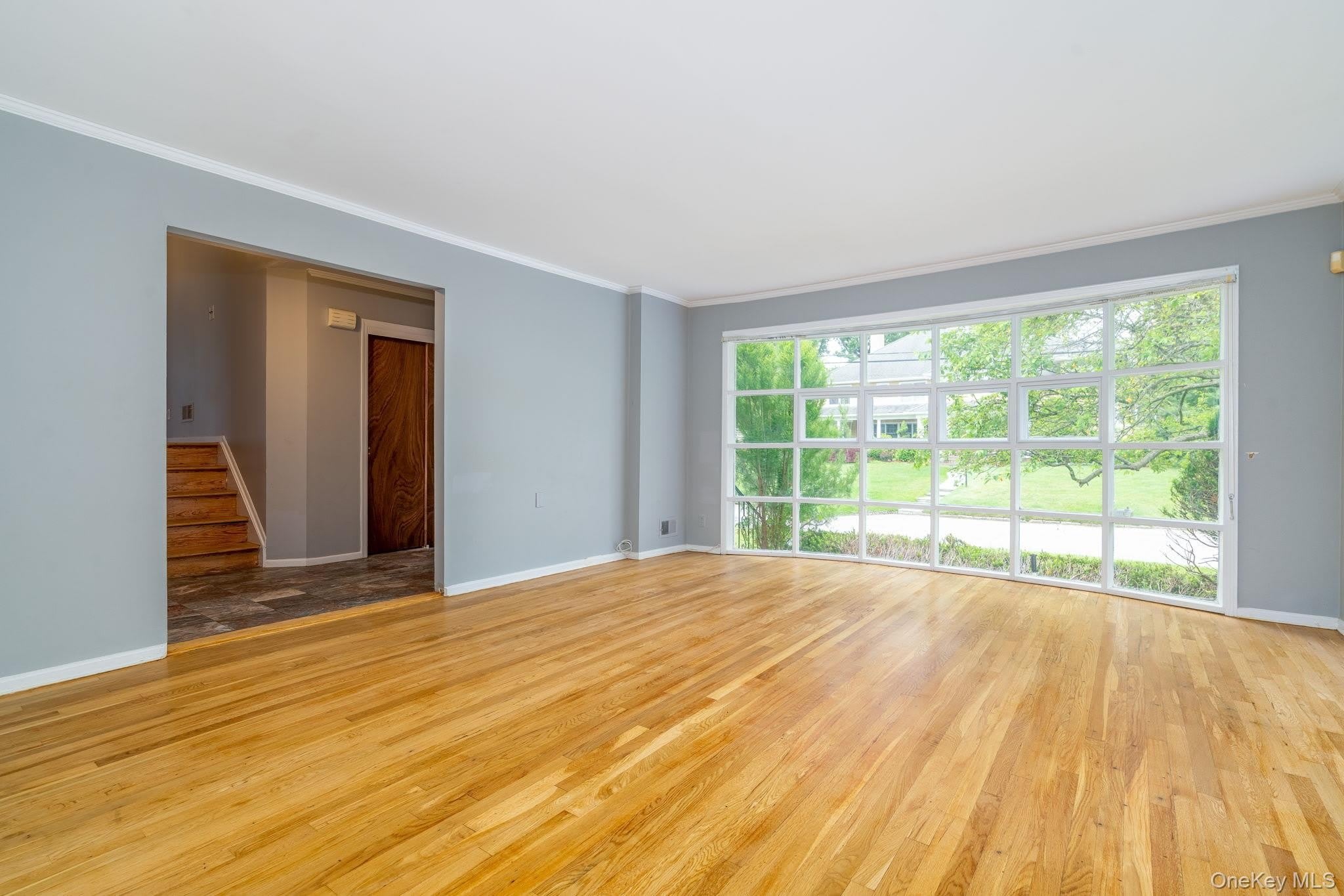 67 Malvern Lane – photo 4