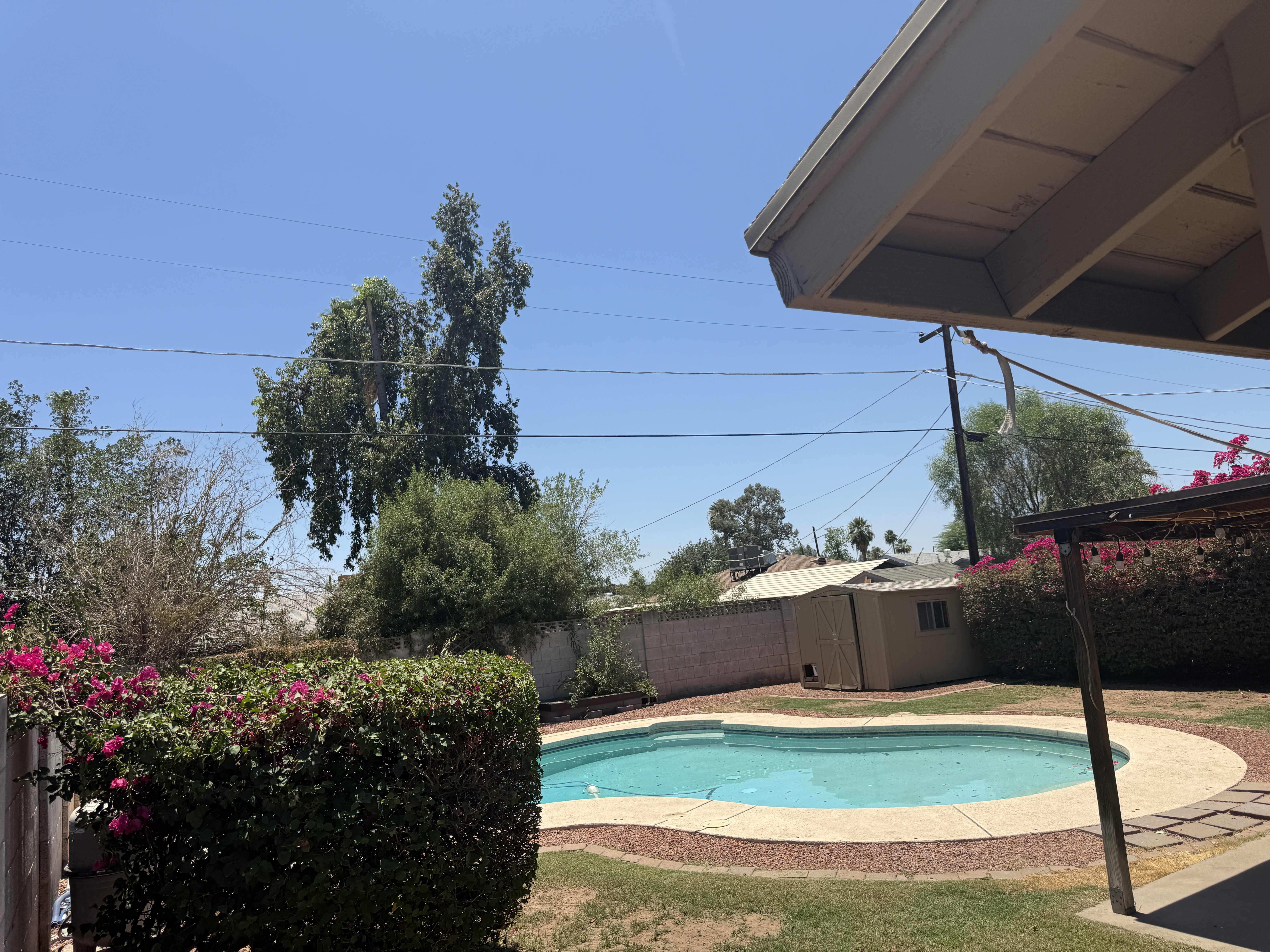 3515 East Flower Street – photo 5