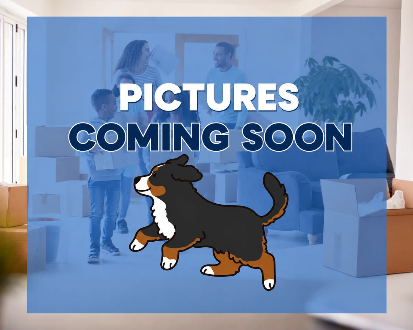 Coming Soon – photo 4