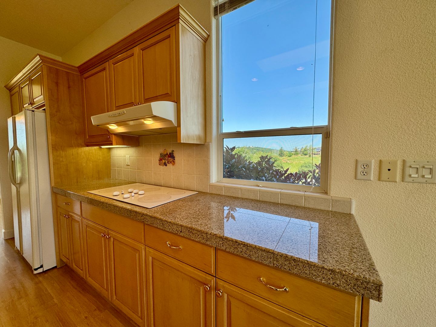 Custom Home With Gorgeous Views Available Now In Pilot Hill! – photo 4
