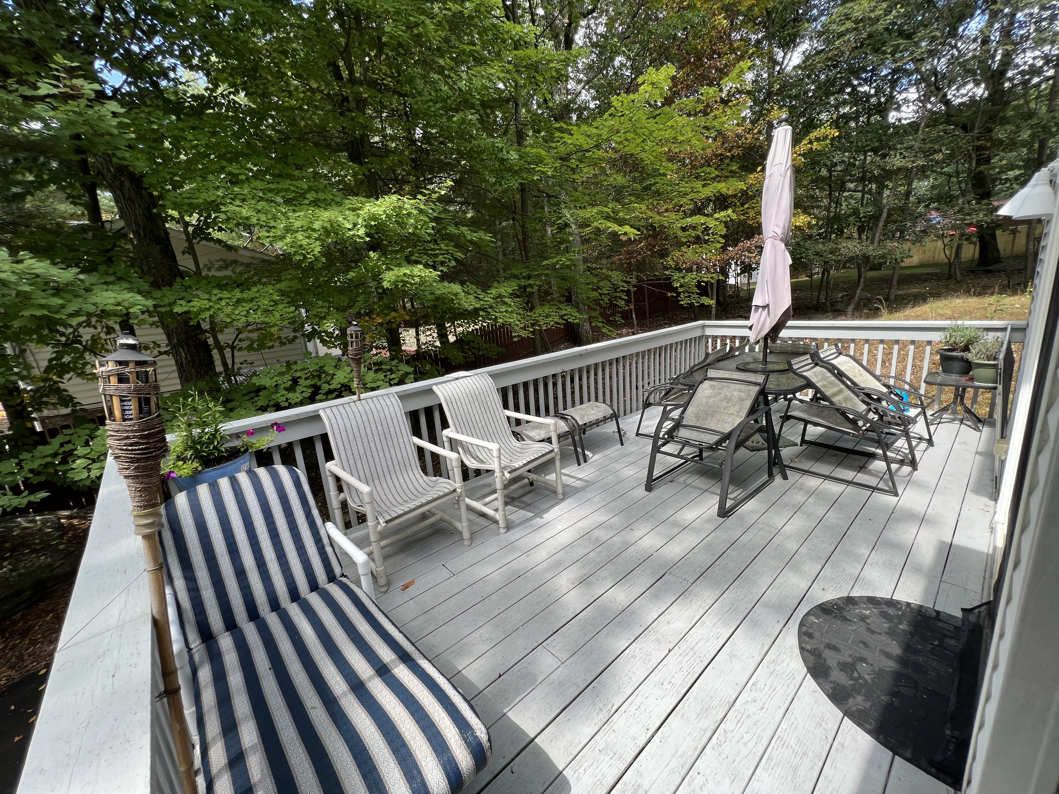 368 Wild Acres Dr – photo 3