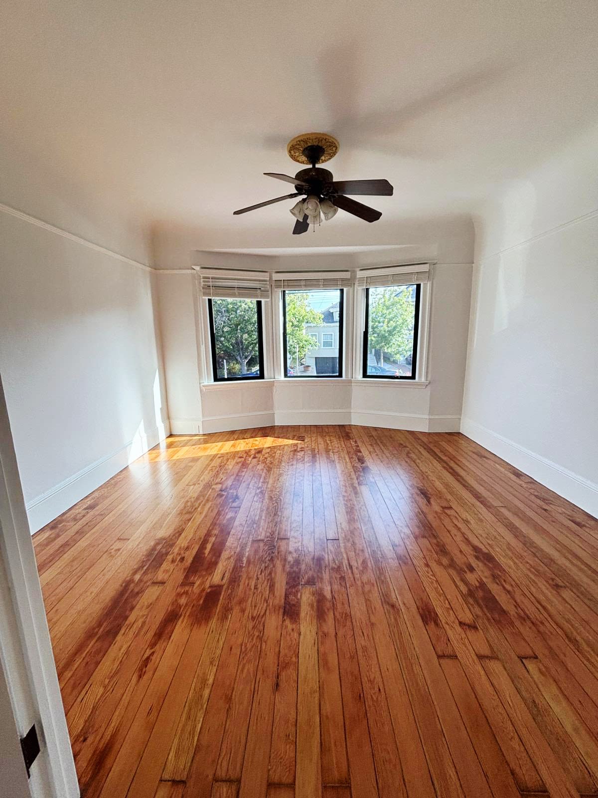 823 Apgar Street – photo 3