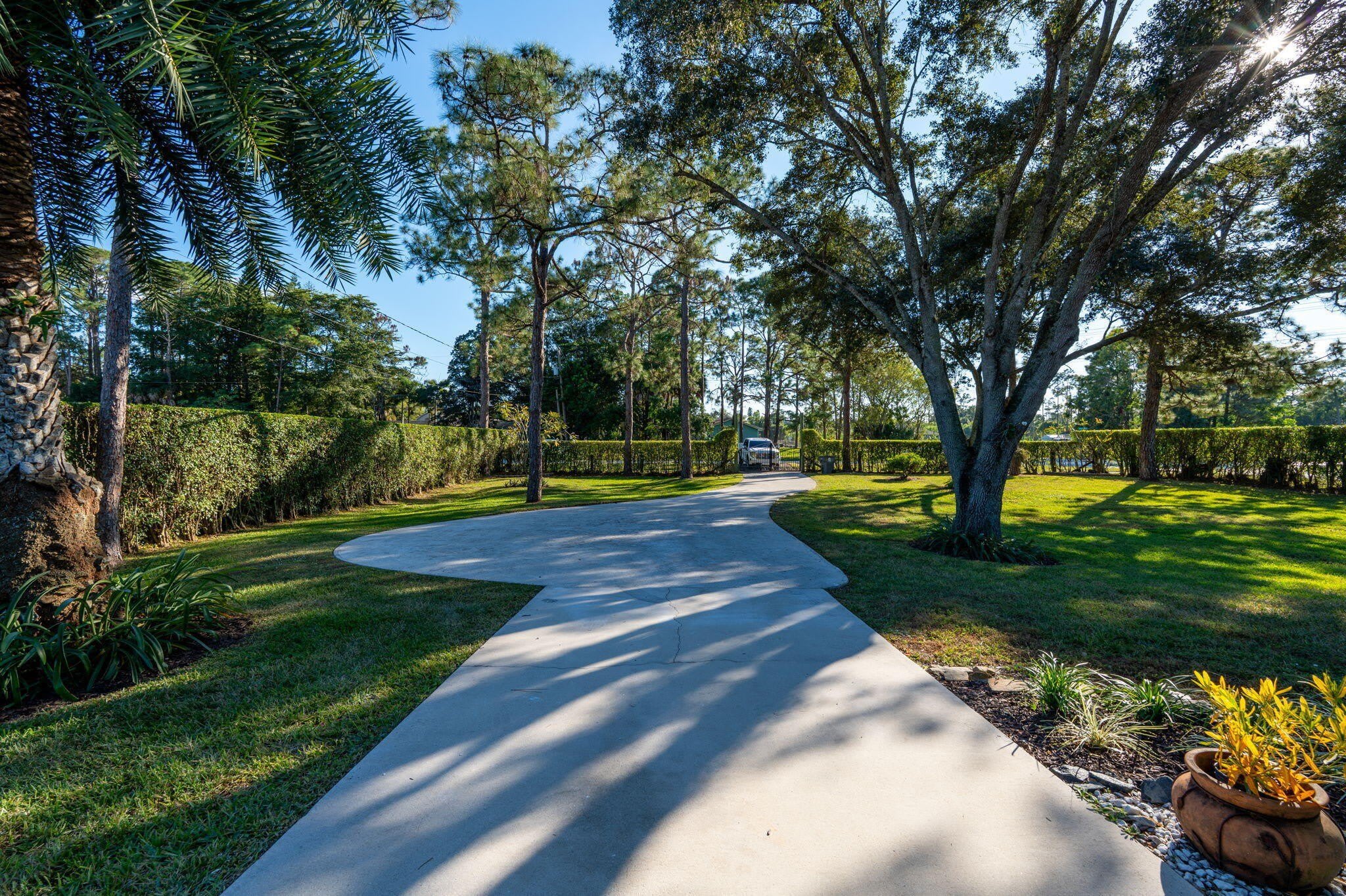 11989 PERSIMMON Boulevard – photo 3