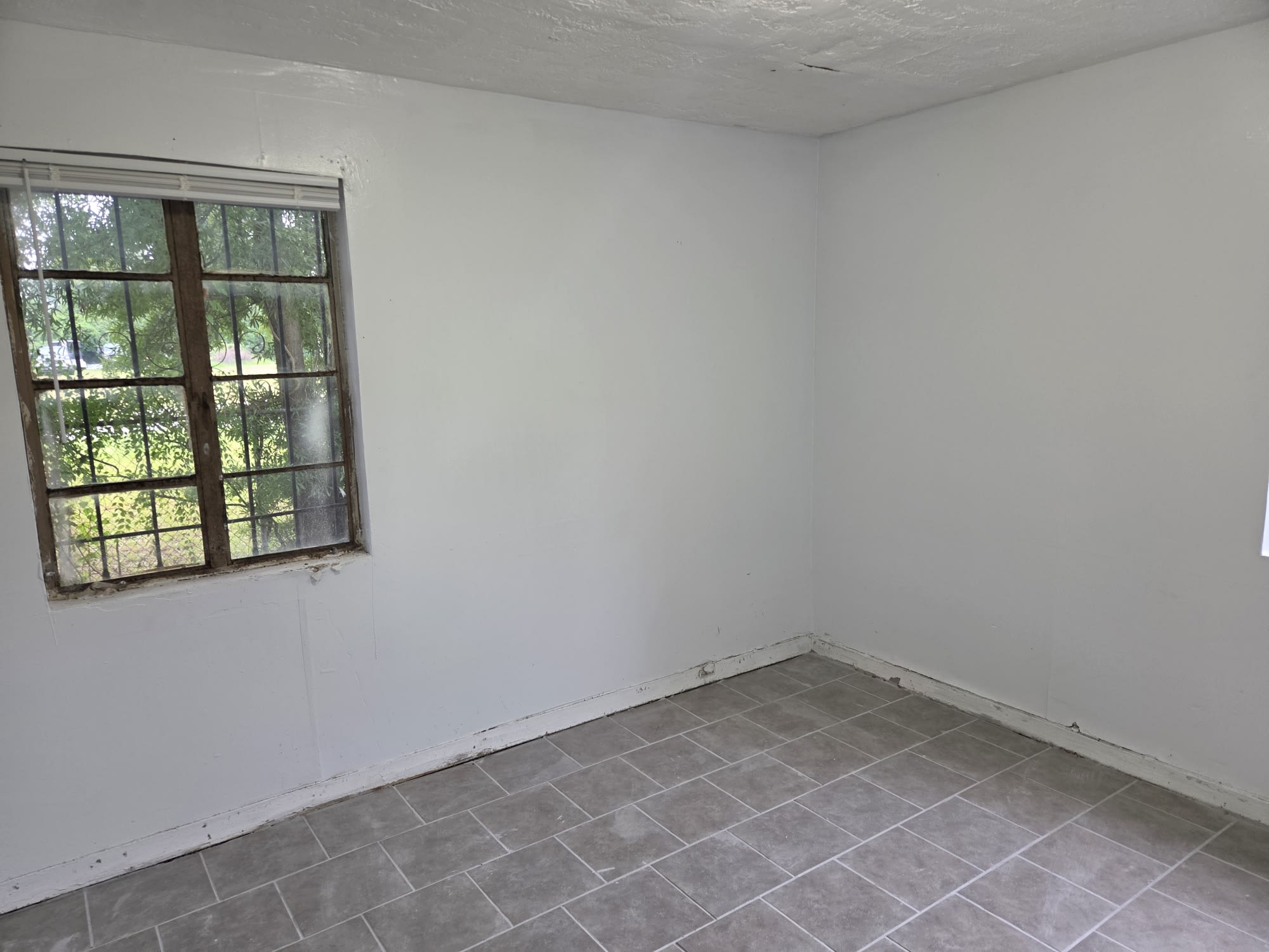 1669 Douglas Street – photo 4