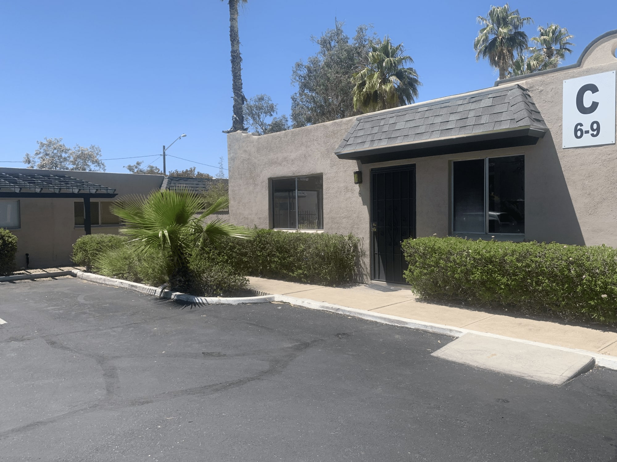 Palm Garden – photo 4