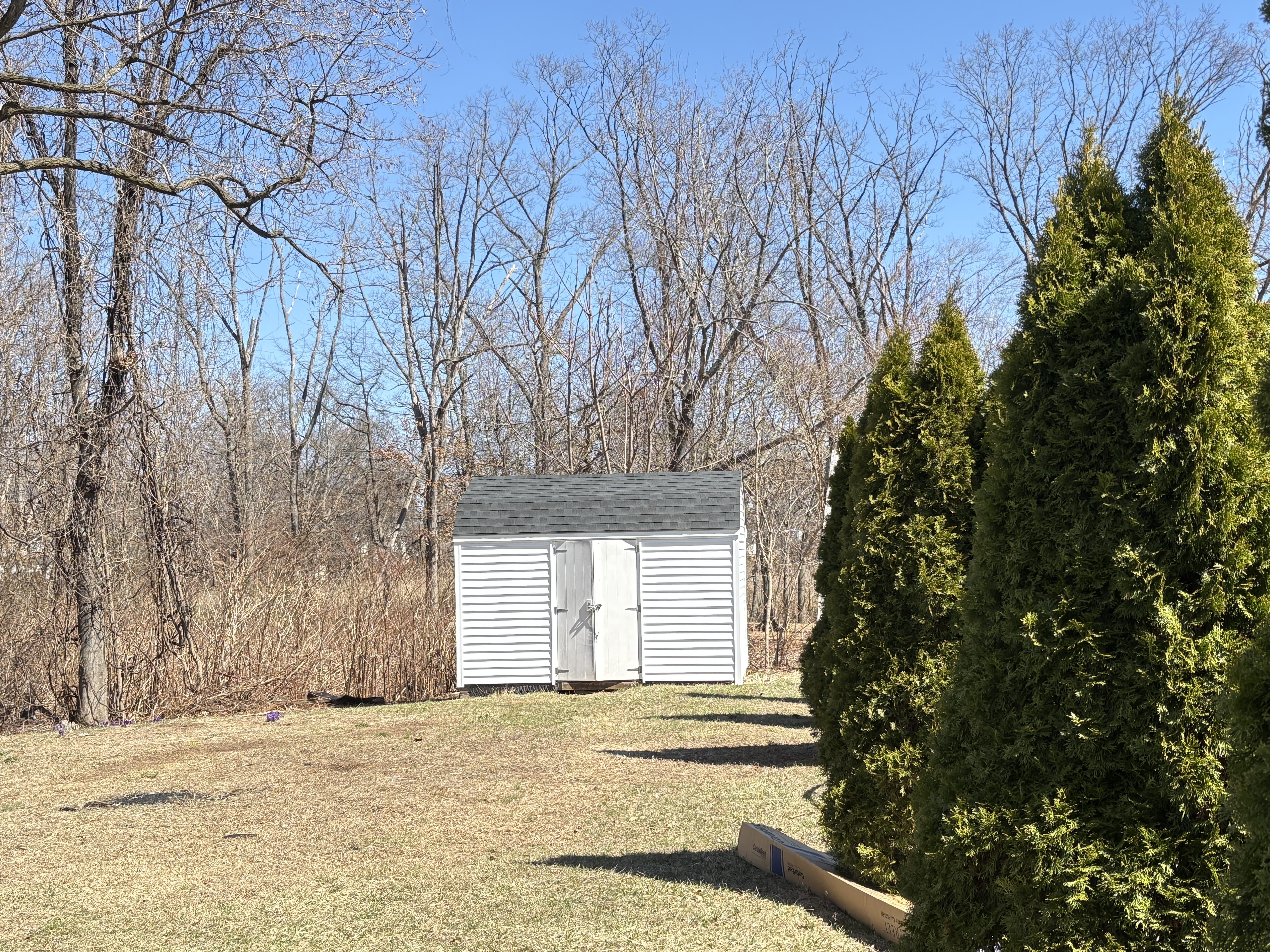 273A Peck Ave – photo 4
