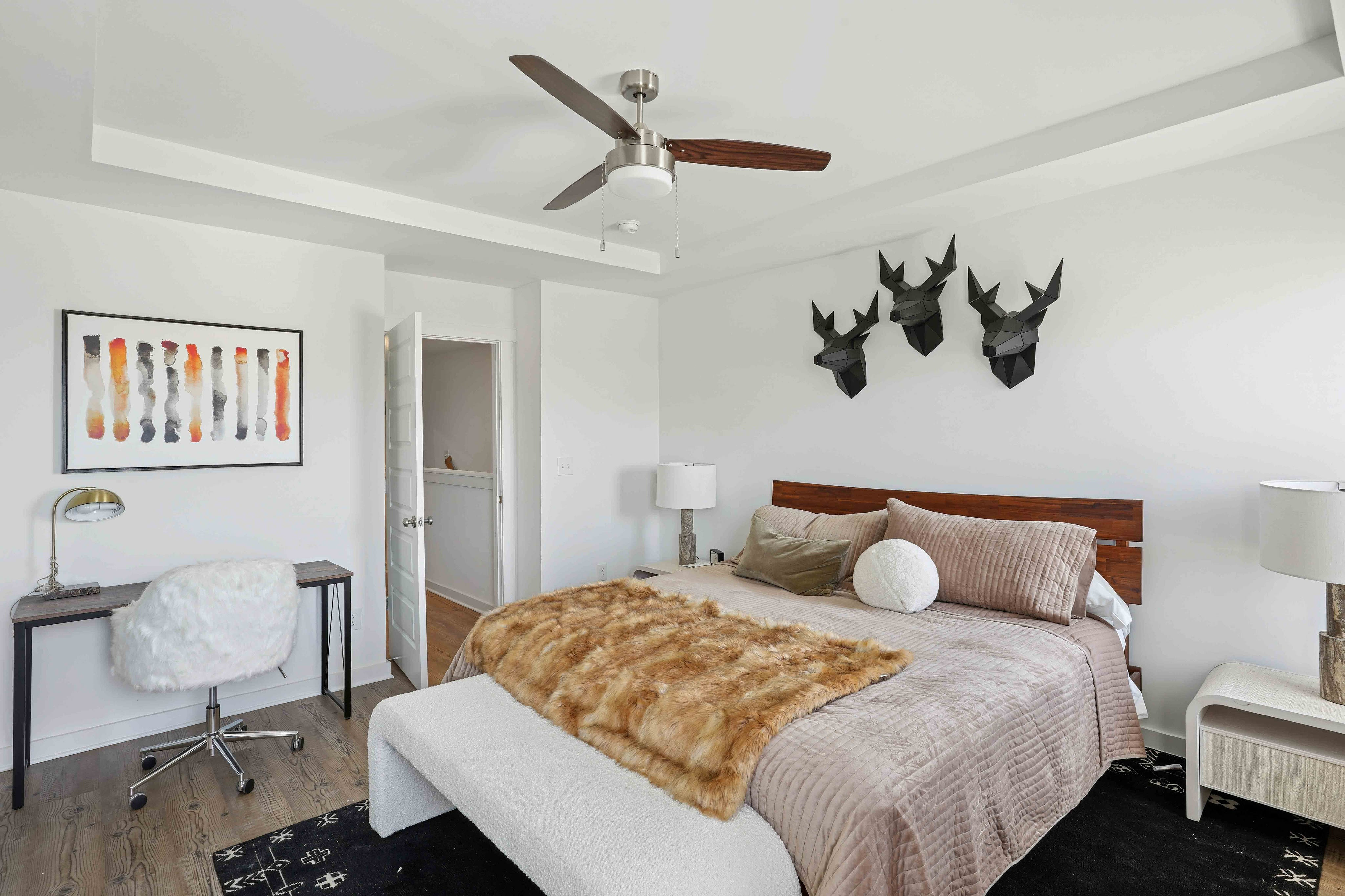 Elio at Research Park Homes for Rent – photo 4