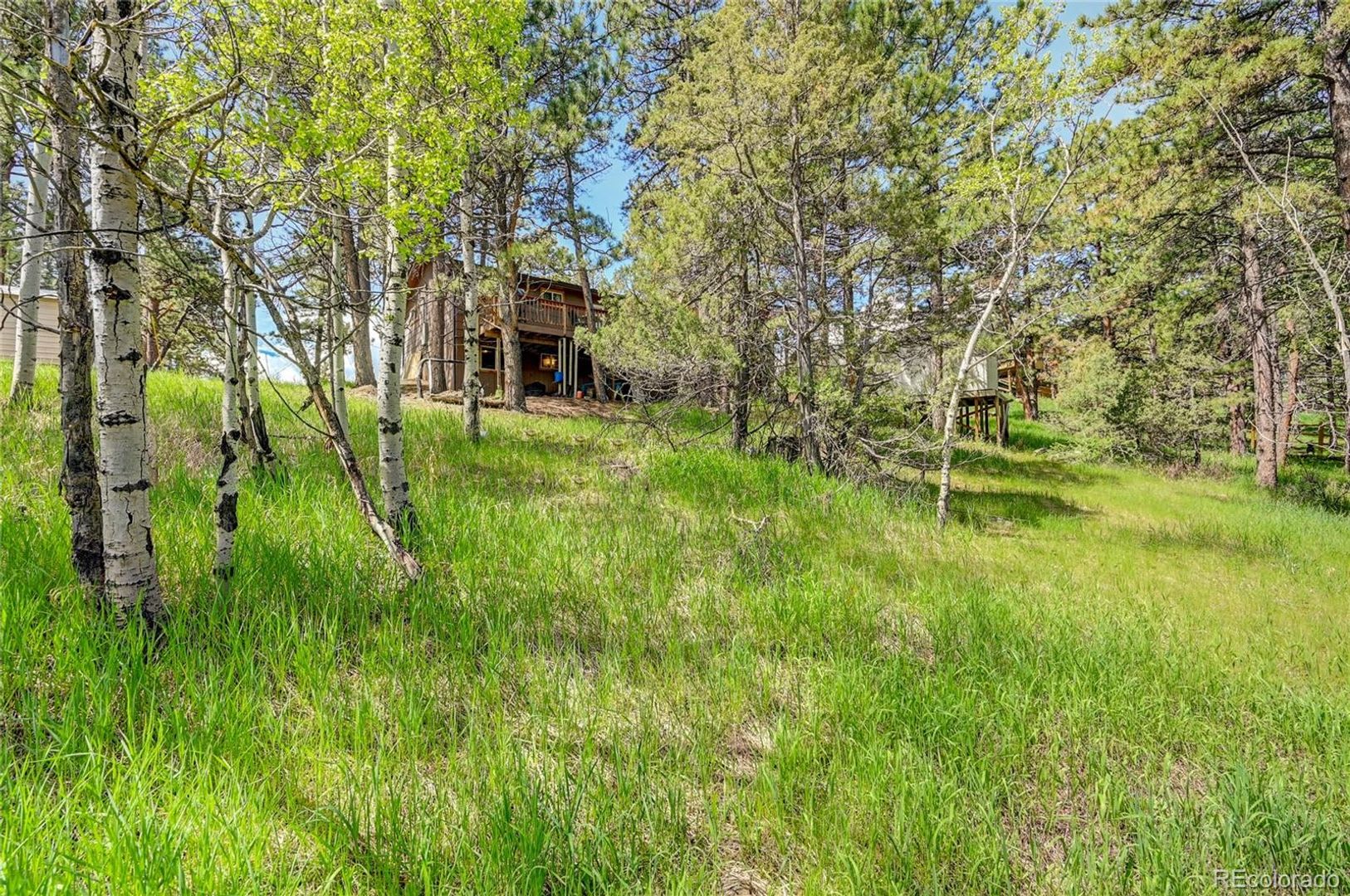 12 minutes from downtown Bailey on a large wooded, private lot – photo 3