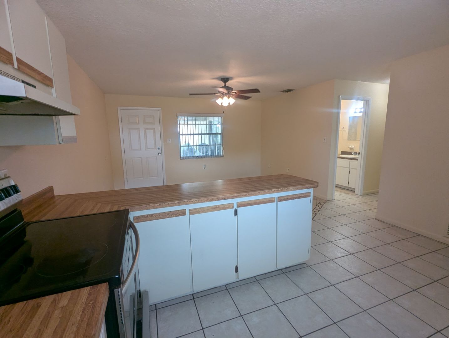 Spacious 2-Bedroom, 1-Bath First-Floor Apartment for Rent. Furry friends welcome! – photo 4