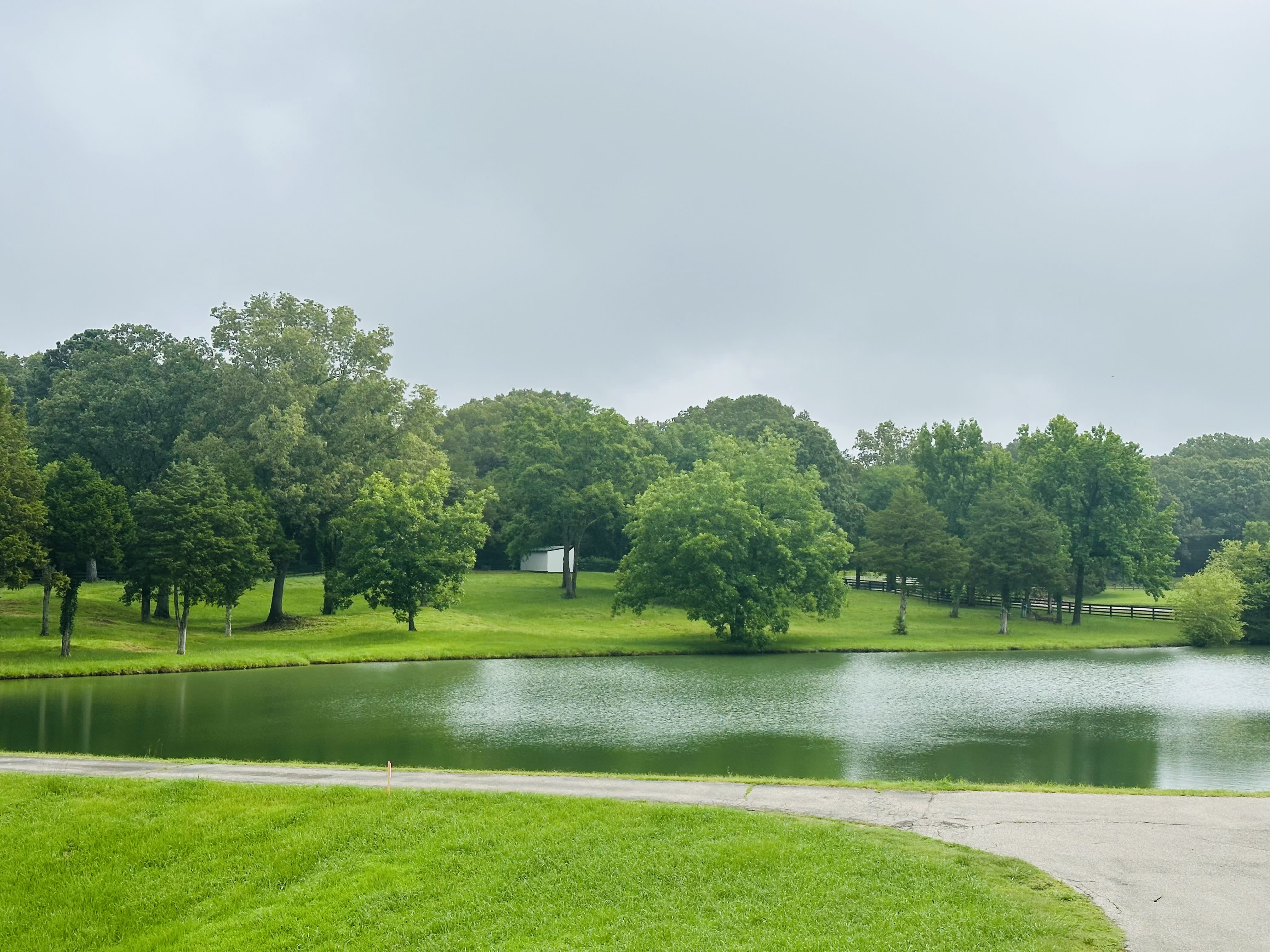 11887 E Holmes Rd – photo 3