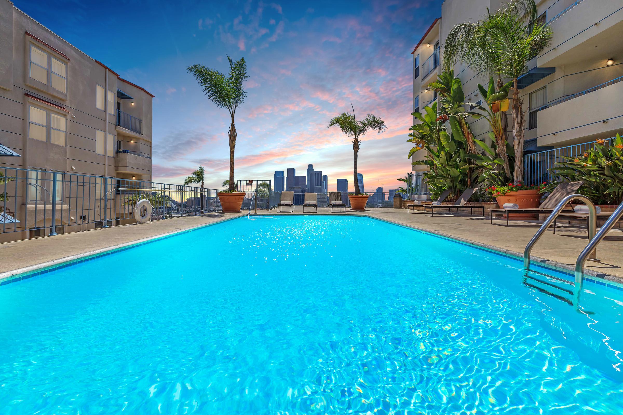 Skyline Terrace Apartments – photo 5