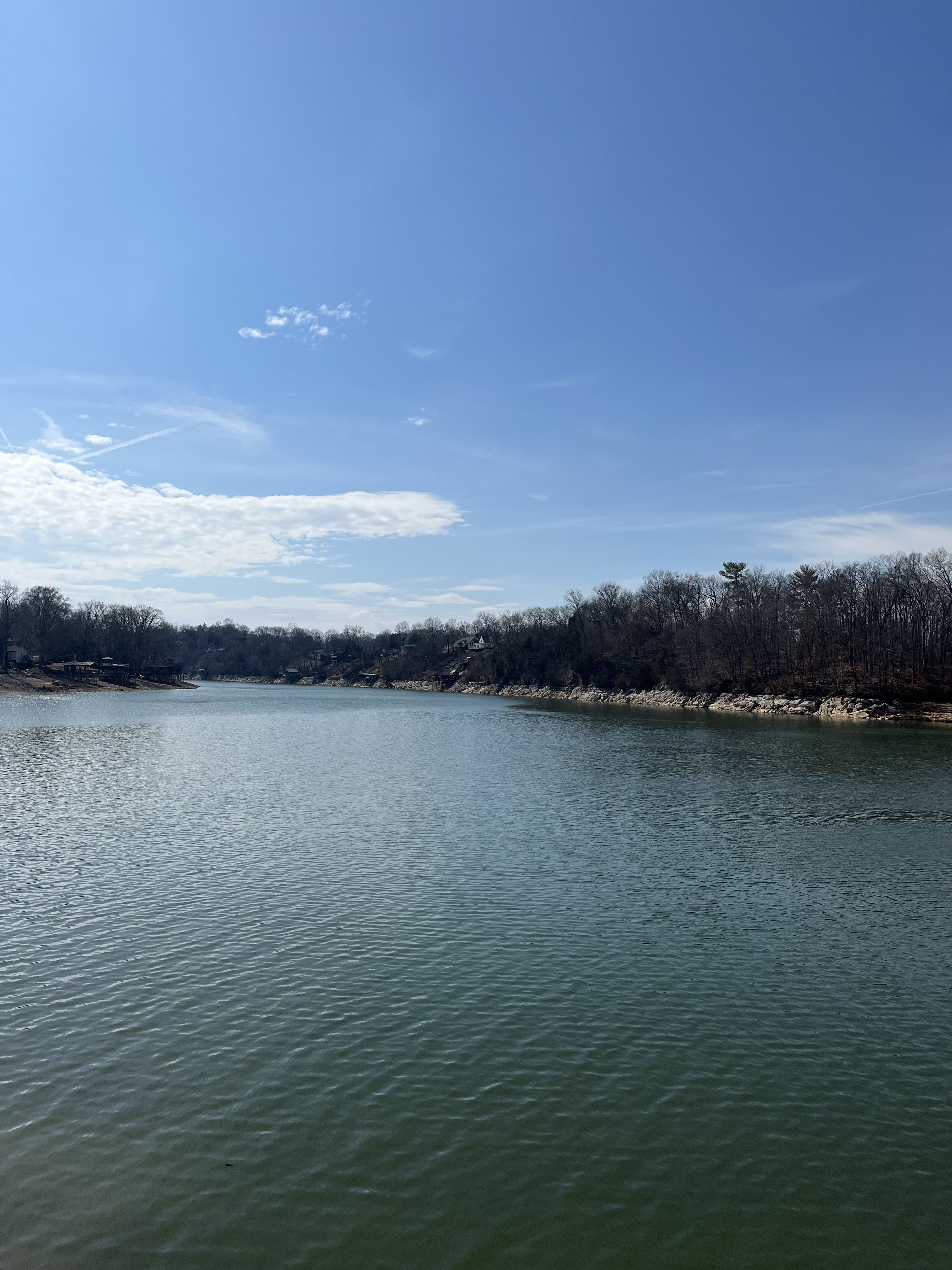 461 J A Hodge Road – photo 1