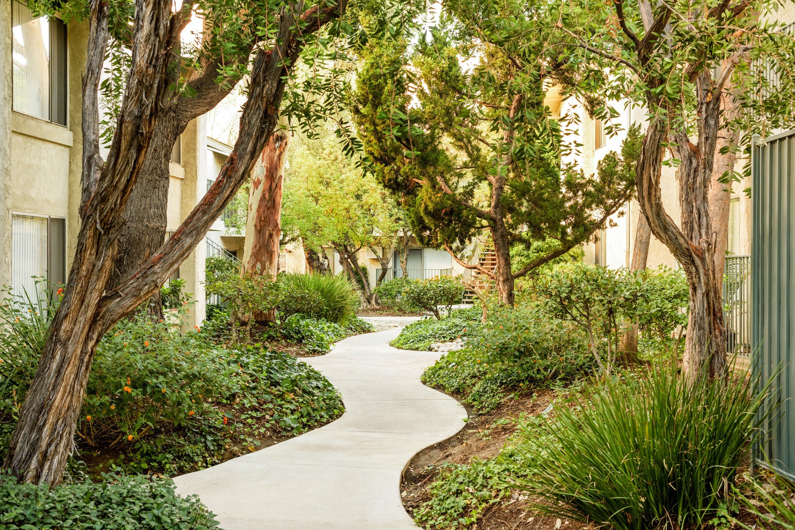 Village Pointe – photo 3