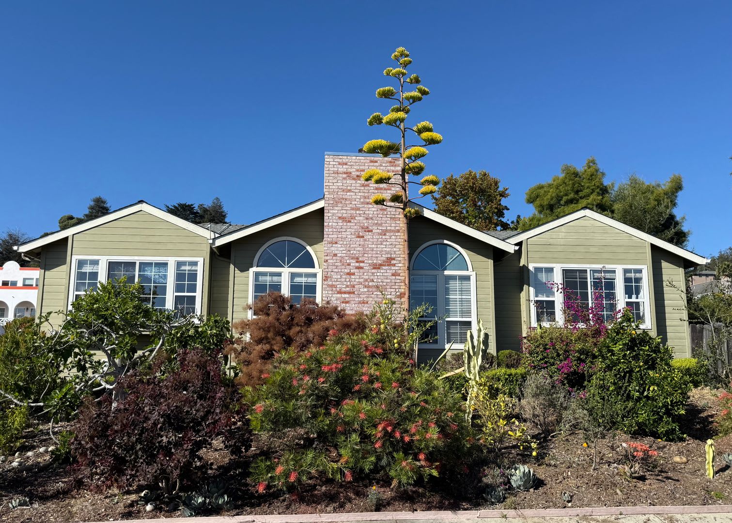 7146 Danko Drive – photo 3